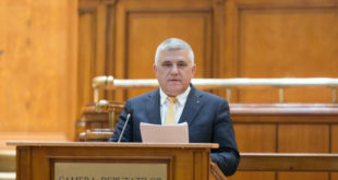 Dumitru Mihalescul, Obiectiv, Suceava, PNL, deputat